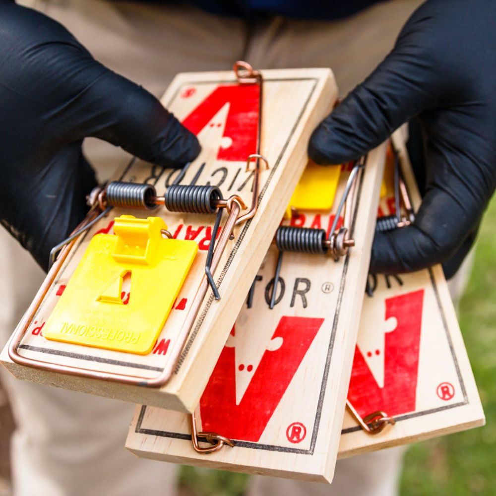 AMERICAN ALLEGIANCE PEST CONTROL 24 Photos 12011 Amedicus Ln, Fort