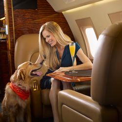 Privaira - Your furry friends are welcome.