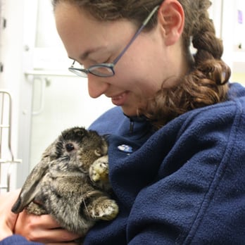 MSPCA-Angell West - Veterinarians Near Me - Waltham, Massachusetts