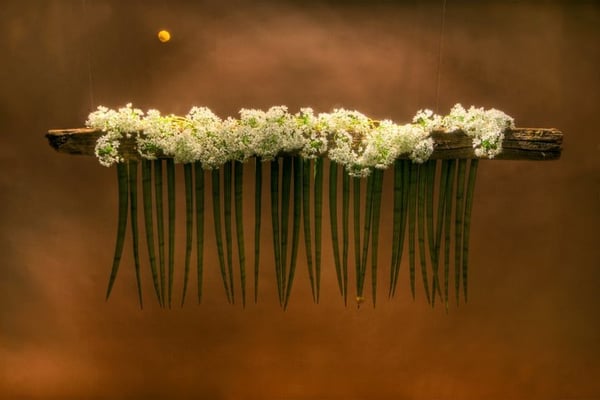 IXIA by null