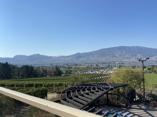 The Bear, The Fish, The Root & The Berry by null