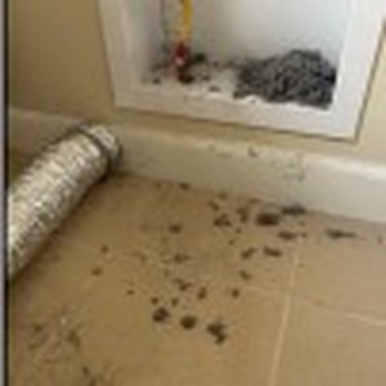 Nuflo Dryer Vent Cleaning - Air Duct Cleaning Near Me Nuflo Dryer Vent Cleaning - Air Duct Cleaning Near Me