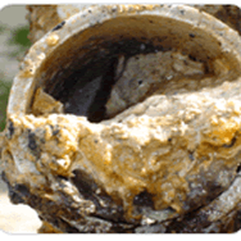 Plumbing Sewer Line - Plumbing Near Me - Dallas, Texas Plumbing Sewer Line - Plumbing Near Me - Dallas, Texas