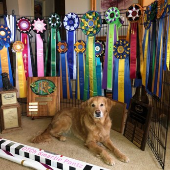 NJ Fix My Dog - Book a Trainer Today! - Pet Training Near Me - Madison, New Jersey NJ Fix My Dog - Book a Trainer Today! - Pet Training Near Me - Madison, New Jersey