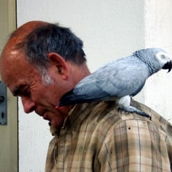 Ben - Manfred und sein Begleiter