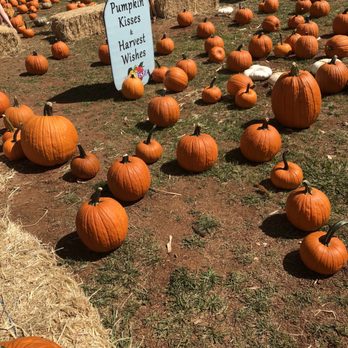 Boa Vista Orchards - Fruits & Veggies Near Me - Placerville, California