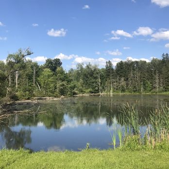 Rogers Environmental Education Center - Community Service/Non-Profit Near Me - Sherburne, New York Rogers Environmental Education Center - Community Service/Non-Profit Near Me - Sherburne, New York