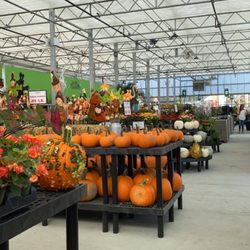 Pat's Farms - Inside the garden center