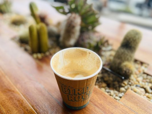 Bird Rock Coffee Roasters - Torrey Pines by null