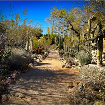 Tucson Botanical Gardens - Botanical Gardens Near Me - Tucson, Arizona Tucson Botanical Gardens - Botanical Gardens Near Me - Tucson, Arizona