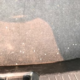 "you left a mess in the trunk" this is the best picture she could give me. A very zoomed in picture of the carpet. "you left a mess in the trunk" this is the best picture she could give me. A very zoomed in picture of the carpet.