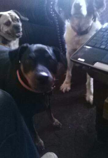 Slide of Mark Whitworth Construction