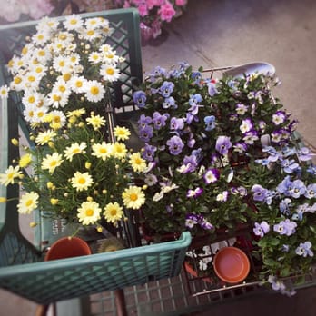 The Flower Fields - Venues & Event Spaces Near Me - Carlsbad, California