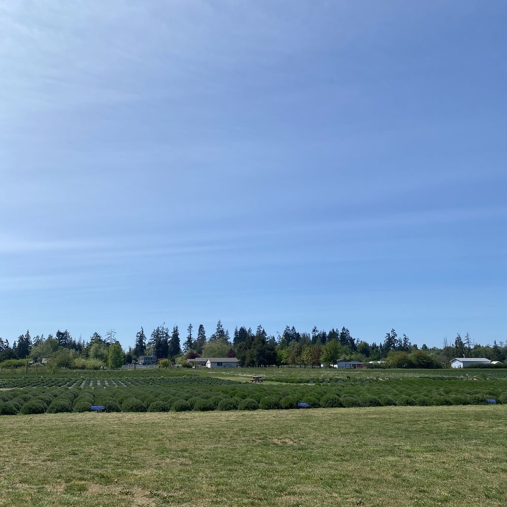 B & B Family Farm - Walking Tours Near Me - Sequim, Washington B & B Family Farm - Walking Tours Near Me - Sequim, Washington