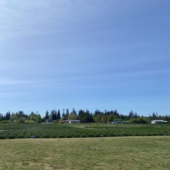 B & B Family Farm - Walking Tours Near Me - Sequim, Washington