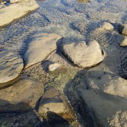 Sheĺly Beach Picnic Ground - Rockpools