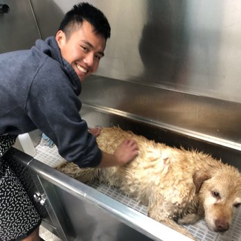 Wet Paws - Pet Groomers Near Me - Altadena, California Wet Paws - Pet Groomers Near Me - Altadena, California
