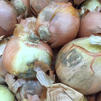 Westminster Superstore - Rotten onions. So gross. I couldn't find a single good one. The ones with skin were mushy. Eck! - International Grocery Near Me - Westminster, California Westminster Superstore - Rotten onions. So gross. I couldn't find a single good one. The ones with skin were mushy. Eck! - International Grocery Near Me - Westminster, California