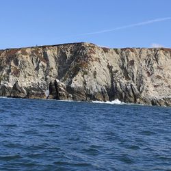 Bodega Bay Ocean Ash Scattering