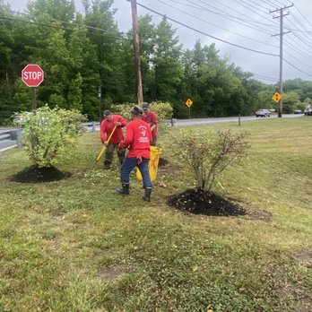 Nativer Tree Expert - Tree Services Near Me - Harwood, Maryland