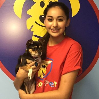 Preppy Pet - Pet Sitting Near Me - Leesburg, Florida Preppy Pet - Pet Sitting Near Me - Leesburg, Florida
