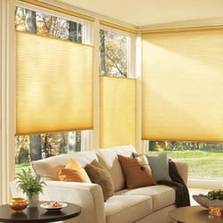 Today's Window Fashions - Hunter Douglas Applause Honeycombs with Top-Down/Bottom-Up