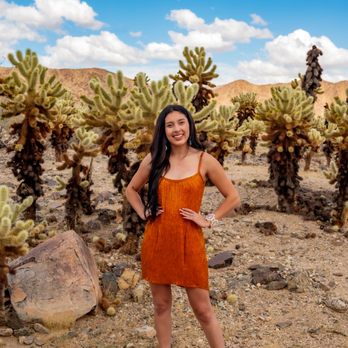 Cholla Cactus Garden - Hiking Near Me - Eagle Mountain, California