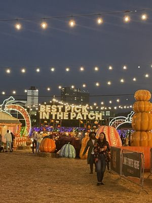 Jack's Pumpkin Pop-up by null