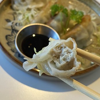 YumYum Bento - Pan Fried Dumplings - Japanese Near Me - East Lansing, Michigan YumYum Bento - Pan Fried Dumplings - Japanese Near Me - East Lansing, Michigan