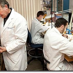 Delman Watch Services