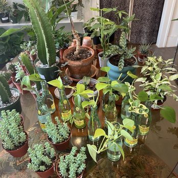 Dirt Bag - Cuteee - Nurseries & Gardening Near Me - Houston, Texas Dirt Bag - Cuteee - Nurseries & Gardening Near Me - Houston, Texas