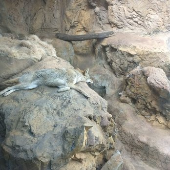 Birmingham Zoo - Zoos Near Me - Birmingham, Alabama