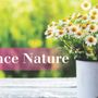 Allergy Partners of Central Kentucky