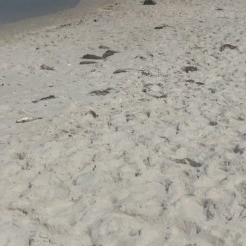 Clam Pass Beach Park - Parks Near Me - Naples, Florida