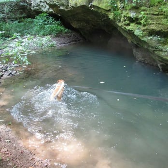 LIttle Grand Canyon - Can't keep this one out of water. - Active Life Near Me