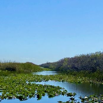 Airboat In Everglades - Scenery along one of the stops - so many birds and gators! - Boat Tours Near Me - Miami, Florida Airboat In Everglades - Scenery along one of the stops - so many birds and gators! - Boat Tours Near Me - Miami, Florida