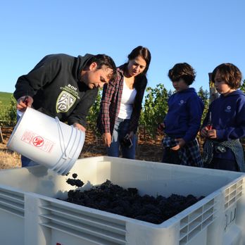 Cramoisi Vineyard - a man pouring wine into a bucket - Wine Tasting Room Near Me - Dundee, Oregon Cramoisi Vineyard - a man pouring wine into a bucket - Wine Tasting Room Near Me - Dundee, Oregon