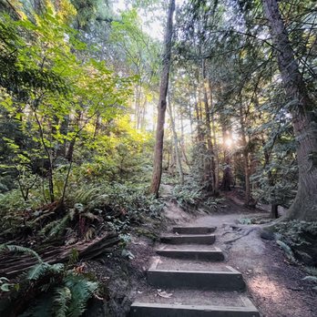 Teddy Bear Cove - Hiking Near Me