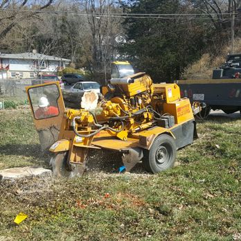 Hummel Tree Service - Tree Services Near Me - Manhattan, Kansas Hummel Tree Service - Tree Services Near Me - Manhattan, Kansas
