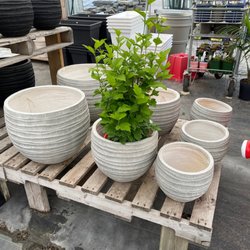 Botanix Cloutier - Pots
