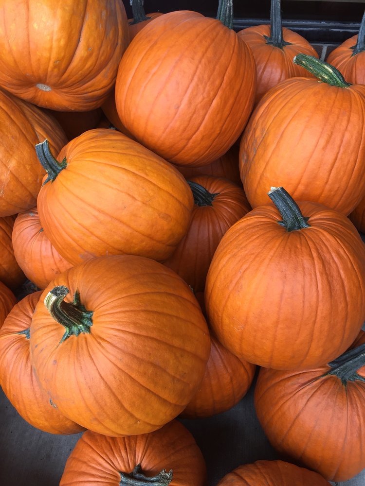 HYVEE WINE & SPIRITS Updated August 2024 1101 6th St NW, Rochester