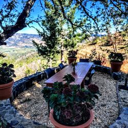 Barnett Vineyards