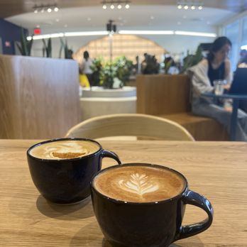 Moonwake Coffee Roasters - Orange Cardamom latte and Fall Spice latte - Coffee Roasteries Near Me - San Jose, California Moonwake Coffee Roasters - Orange Cardamom latte and Fall Spice latte - Coffee Roasteries Near Me - San Jose, California