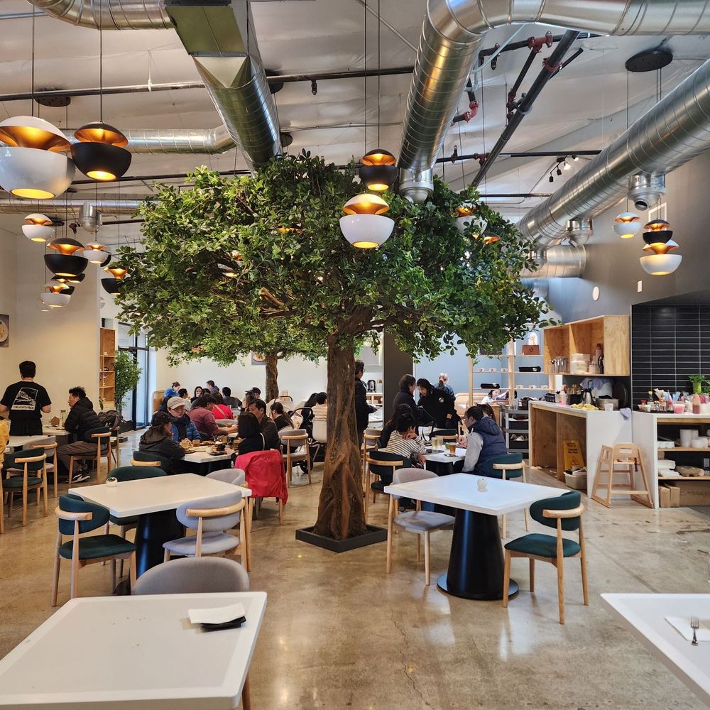 Baby Cafe - Cafes Near Me - San Leandro, California Baby Cafe - Cafes Near Me - San Leandro, California