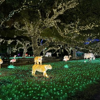 Houston Zoo - Zoos Near Me - Houston, Texas Houston Zoo - Zoos Near Me - Houston, Texas