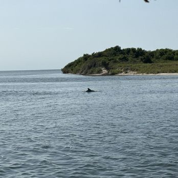OBX Tiki Time - Amazing ride seeing the dolphins and drinking on the tiki boat! Highly recommend - Boat Charters Near Me OBX Tiki Time - Amazing ride seeing the dolphins and drinking on the tiki boat! Highly recommend - Boat Charters Near Me