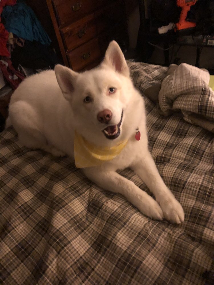 Slide of All Pro Renovations