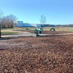 Looking into the dog park from the gate