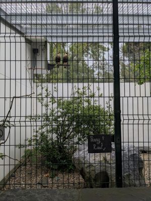 Aillwee Burren Experience by null