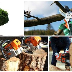 Greg's Tree Service